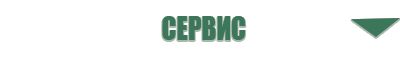 выносной электрод Вертебра Дэнас