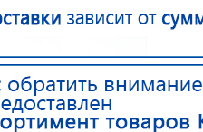 СКЭНАР-1-НТ (исполнение 01)  купить в Каменск-шахтинском, Аппараты Скэнар купить в Каменск-шахтинском, Медицинская техника - denasosteo.ru